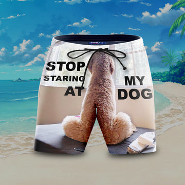 Stop Staring at My Dog V2 Summer Shorts